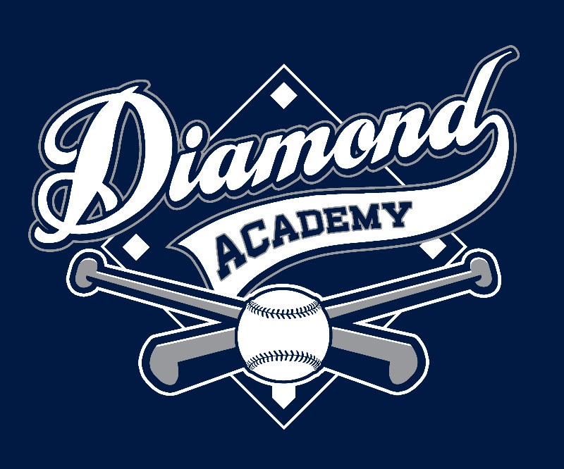 Home [diamondacademy.stonealley.com]